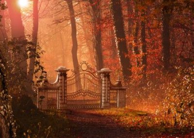 105198308-a-gothic-gate-blocking-a-foot-path-in-a-beautiful-autumn-forest-3d-render-painting.jpg